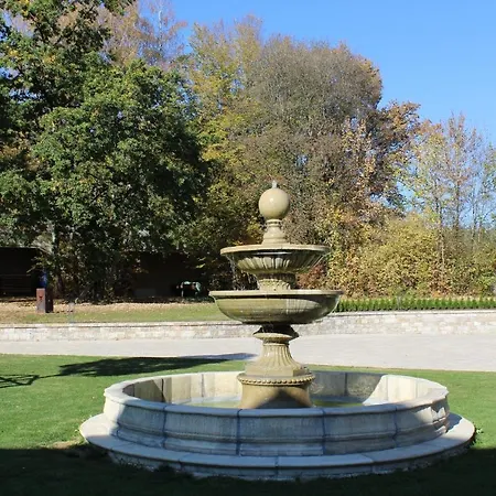 Waldhotel Rainau 3* إلفانغن