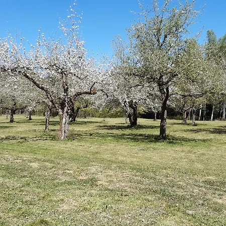 Aparthotel Waldhotel Rainau Ellwangen