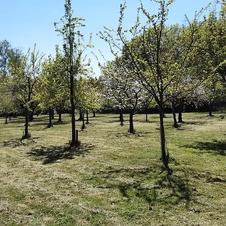 Waldhotel Rainau Ellwangen